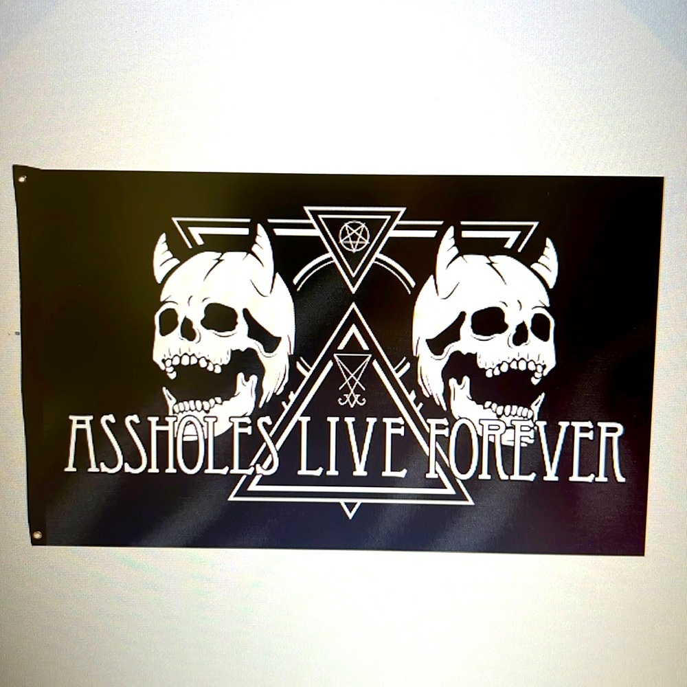New Assholes Live Forever Twin Skulls Black Flag